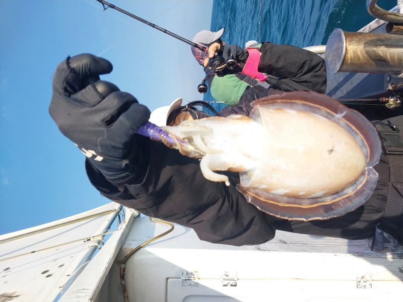 나르샤호 조황갤러리입니다.