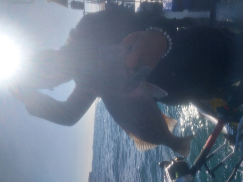 나르샤호 조황갤러리입니다.