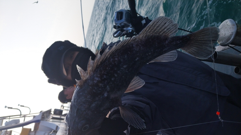 나르샤호 조황갤러리입니다.