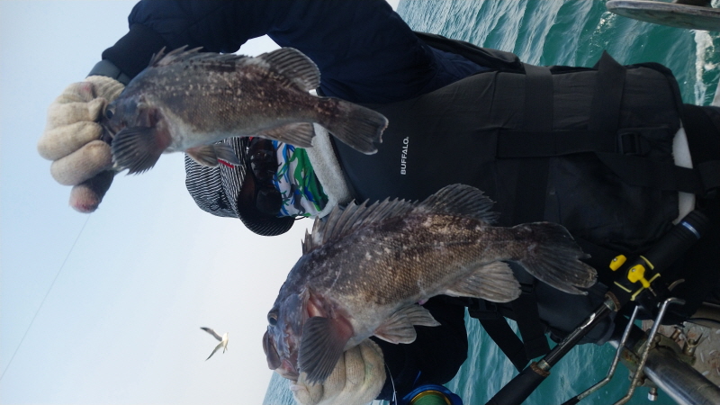 나르샤호 조황갤러리입니다.