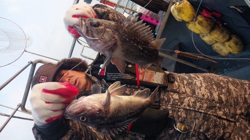 나르샤호 조황갤러리입니다.