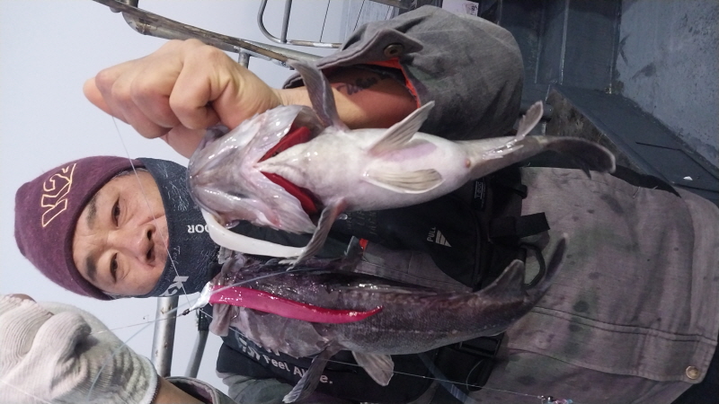 나르샤호 조황갤러리입니다.