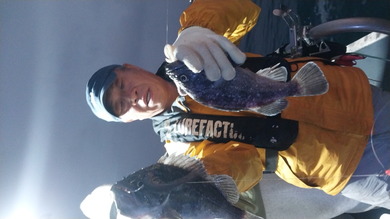 나르샤호 조황갤러리입니다.