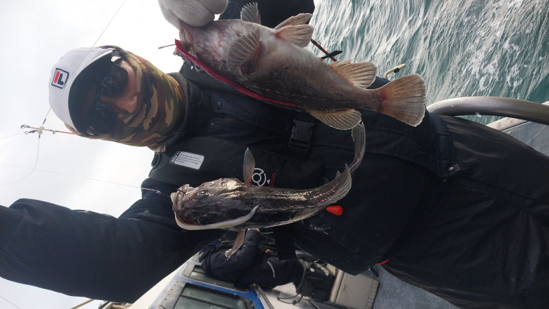 나르샤호 조황갤러리입니다.