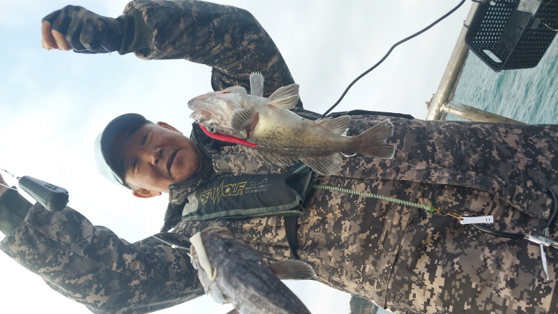 나르샤호 조황갤러리입니다.