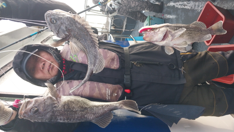 나르샤호 조황갤러리입니다.