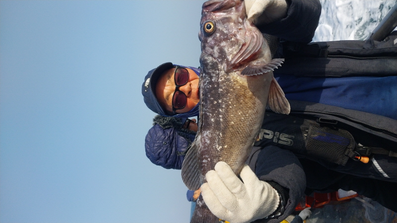 나르샤호 조황갤러리입니다.