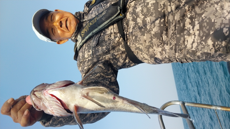 나르샤호 조황갤러리입니다.