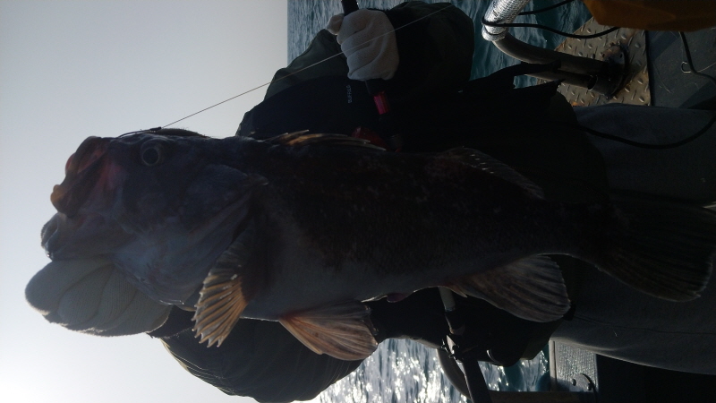 나르샤호 조황갤러리입니다.