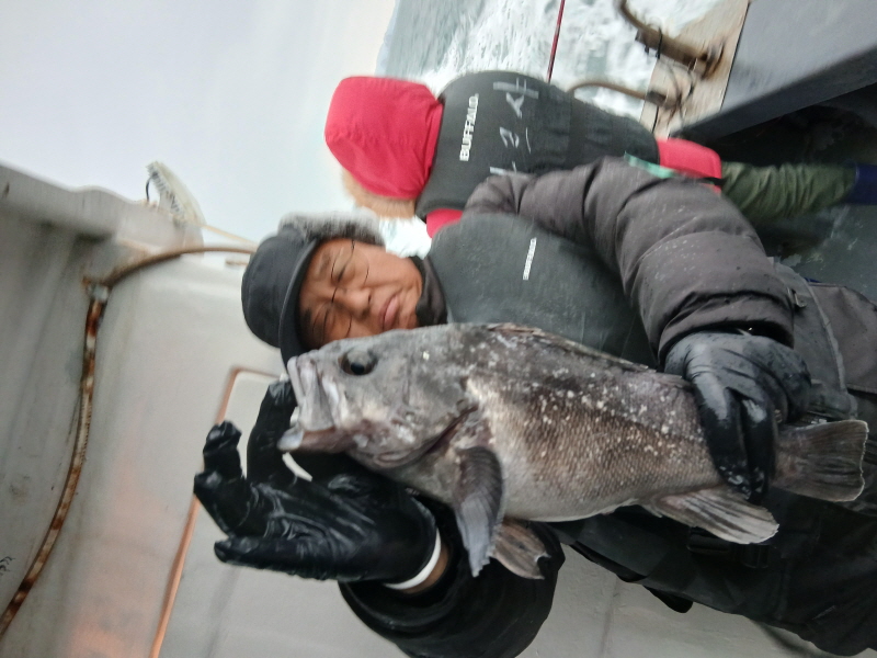 나르샤호 조황갤러리입니다.