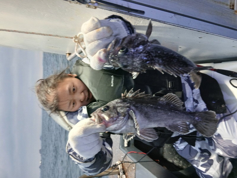 나르샤호 조황갤러리입니다.