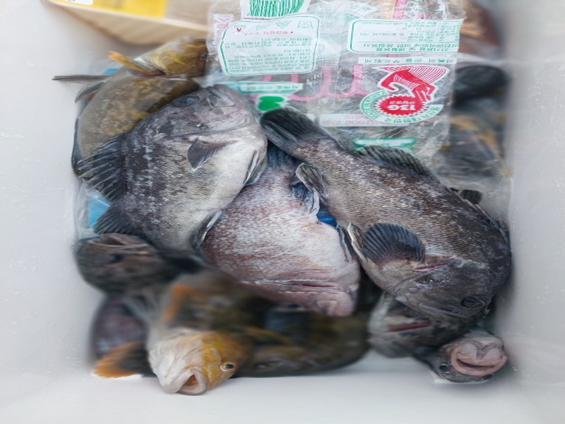 나르샤호 조황갤러리입니다.