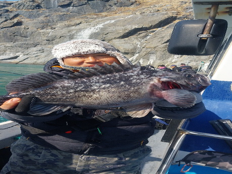 나르샤호 조황갤러리입니다.