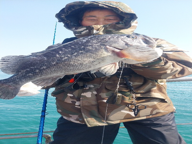 나르샤호 조황갤러리입니다.