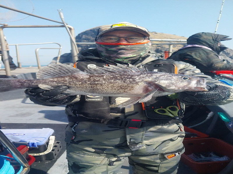 나르샤호 조황갤러리입니다.