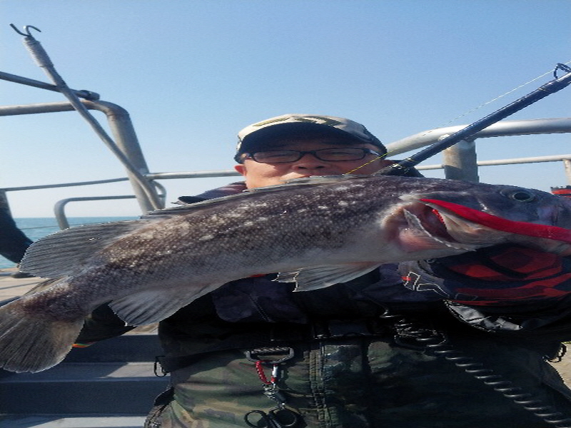 나르샤호 조황갤러리입니다.