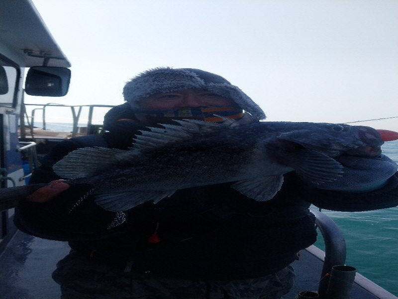 나르샤호 조황갤러리입니다.