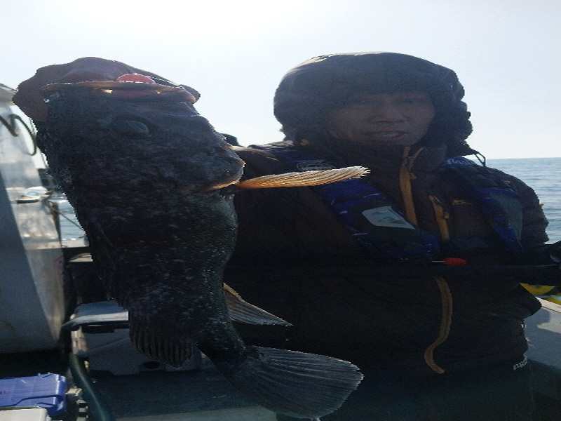 나르샤호 조황갤러리입니다.