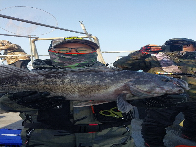 나르샤호 조황갤러리입니다.