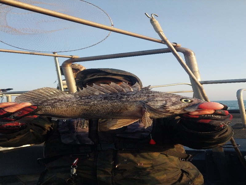 나르샤호 조황갤러리입니다.