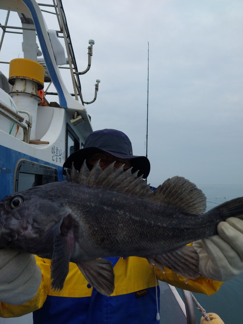 나르샤호 조황갤러리입니다.