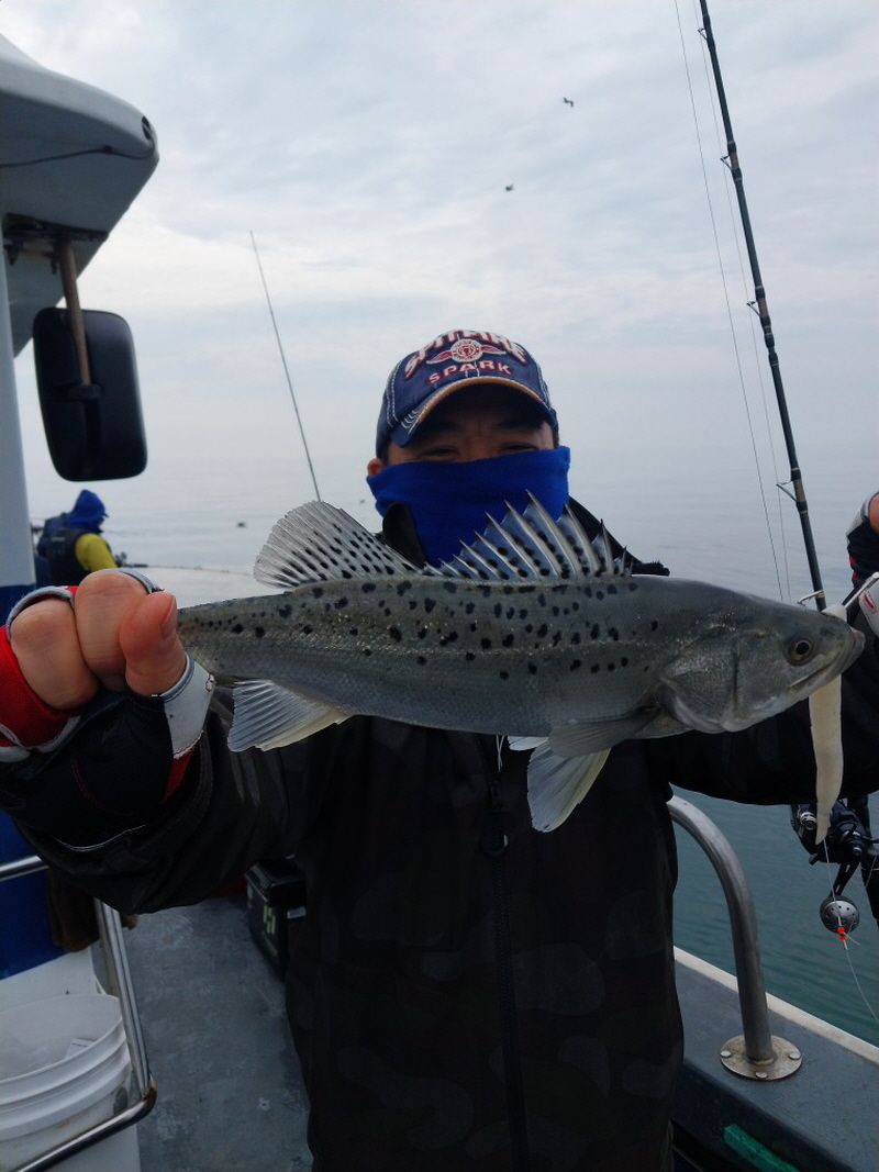 나르샤호 조황갤러리입니다.