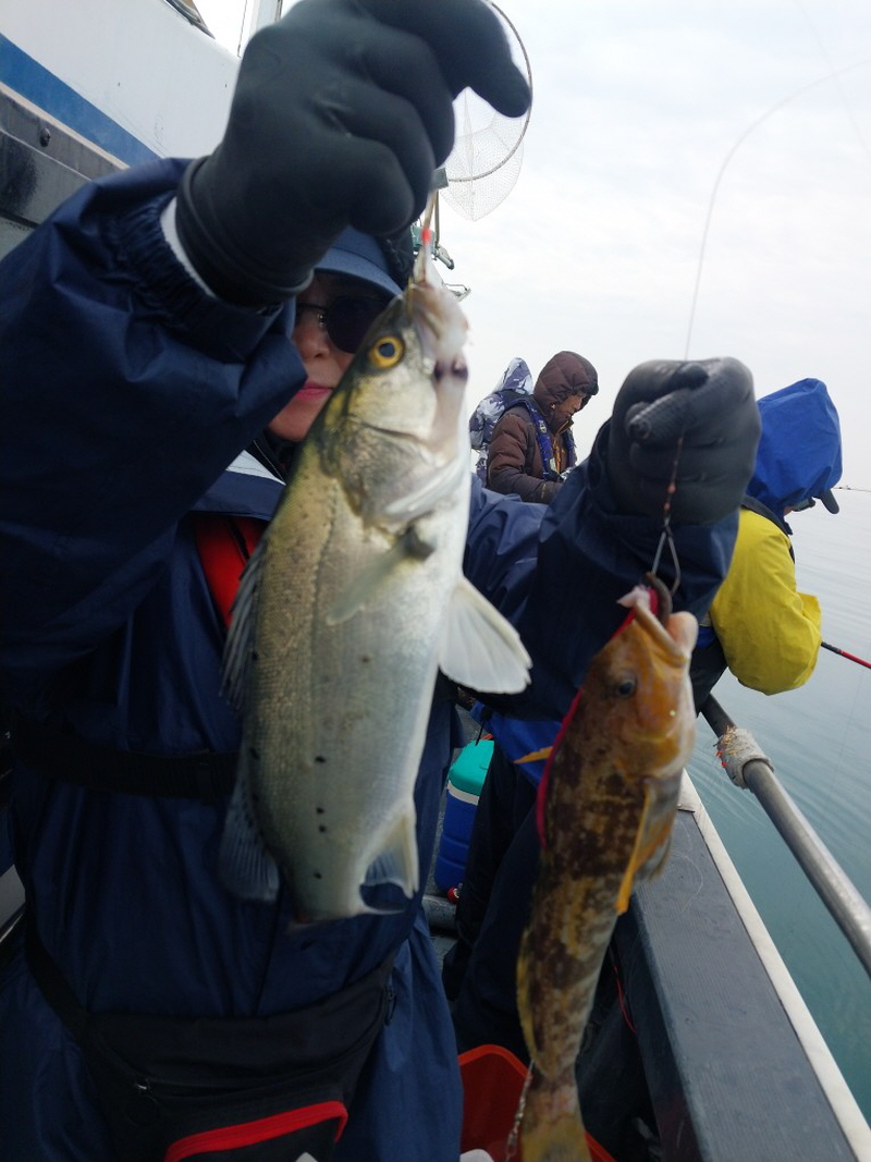 나르샤호 조황갤러리입니다.