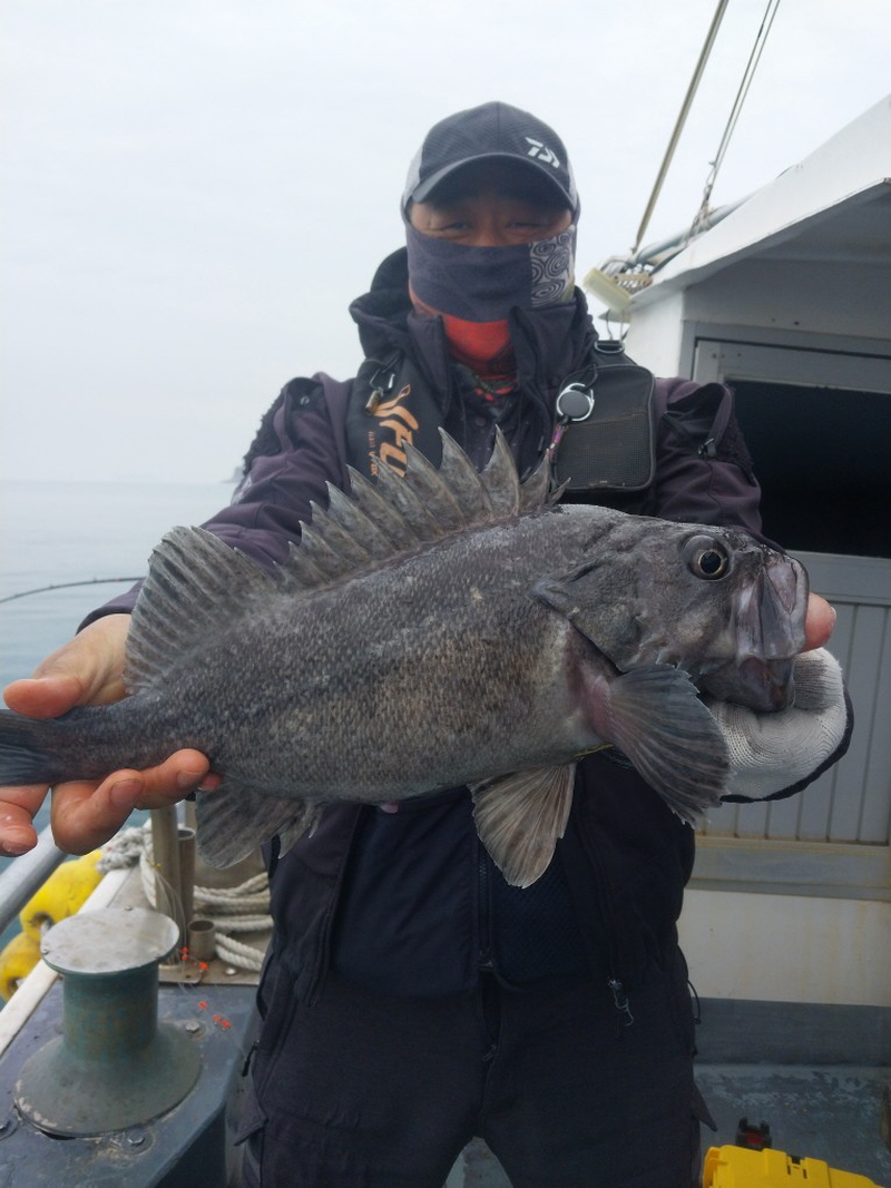 나르샤호 조황갤러리입니다.