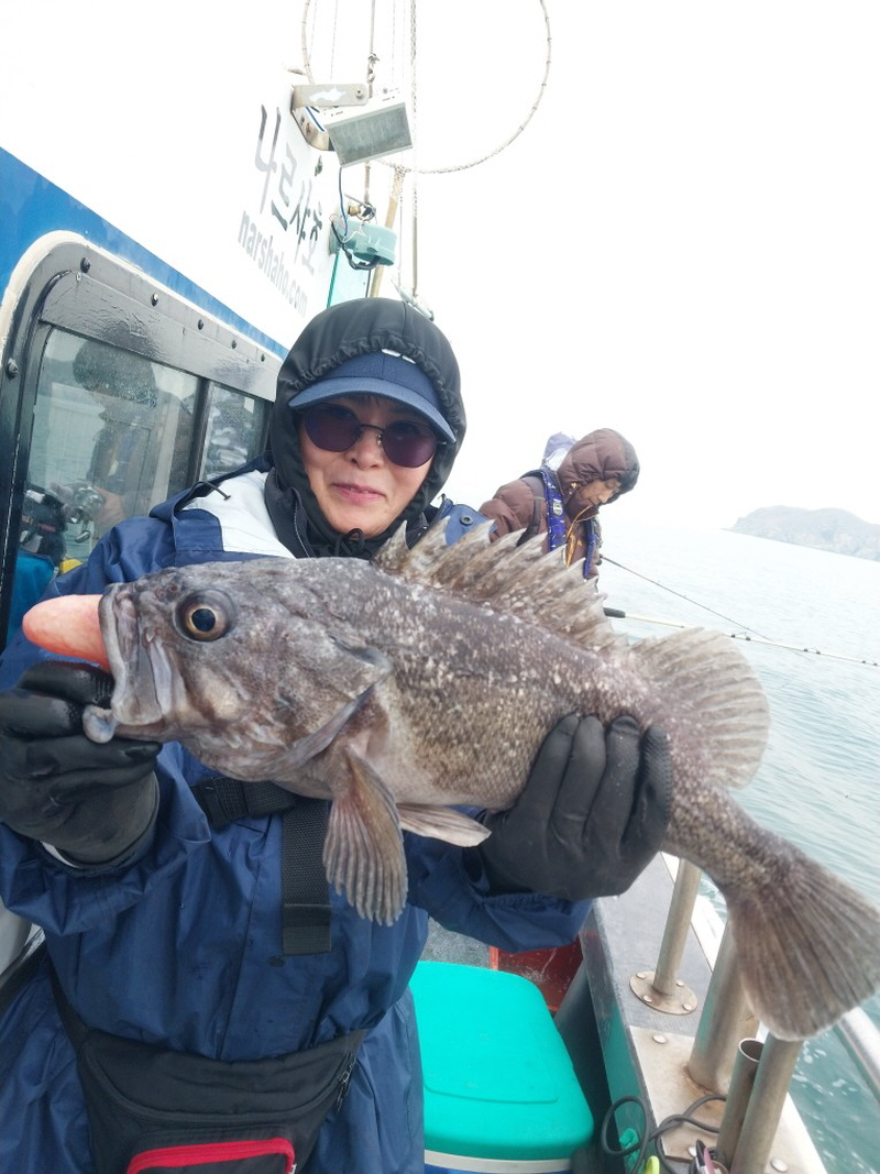 나르샤호 조황갤러리입니다.