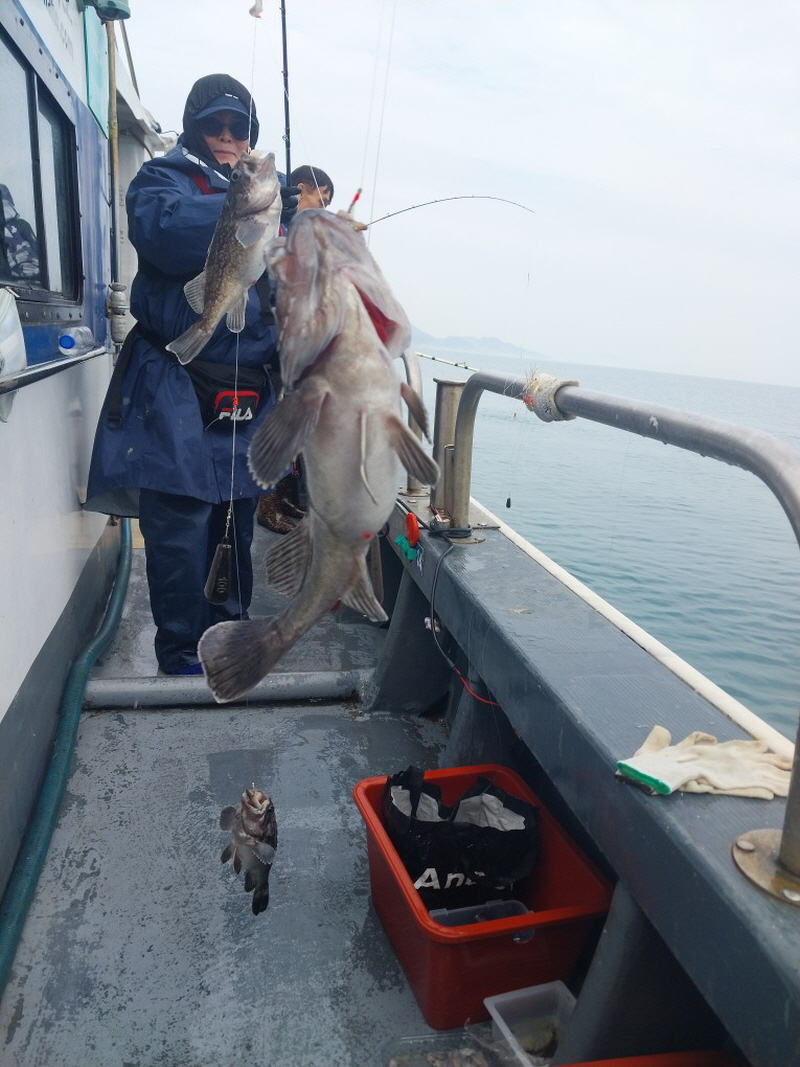 나르샤호 조황갤러리입니다.