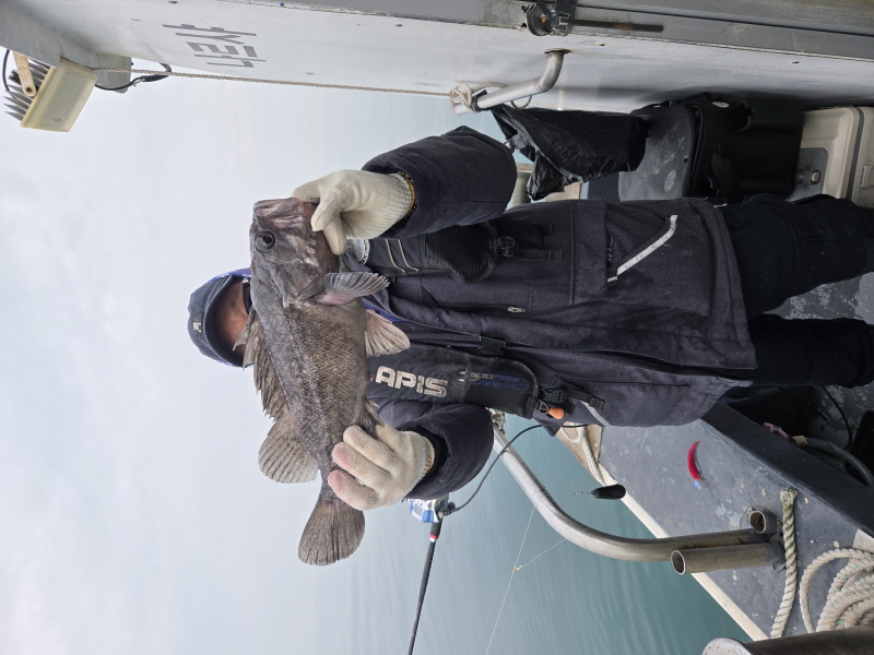 나르샤호 조황갤러리입니다.