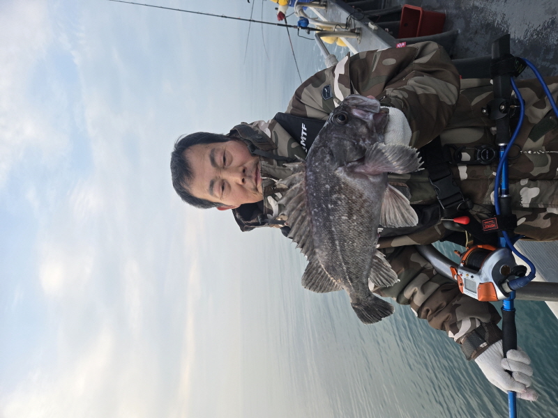 나르샤호 조황갤러리입니다.