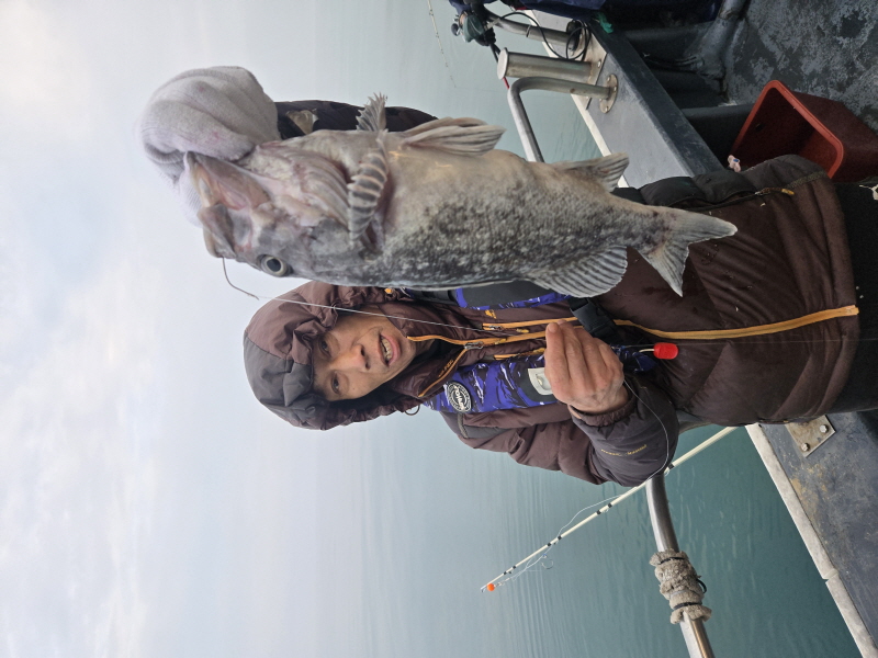 나르샤호 조황갤러리입니다.