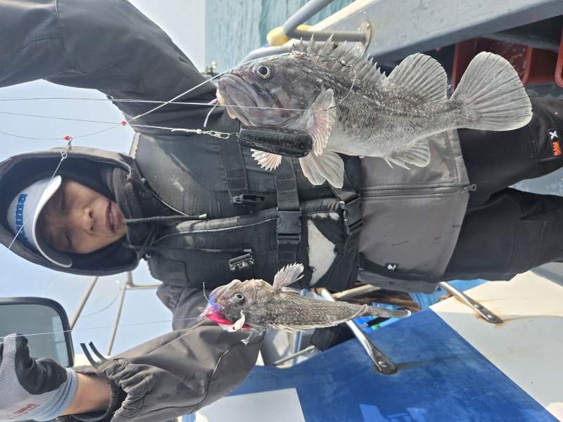 나르샤호 조황갤러리입니다.