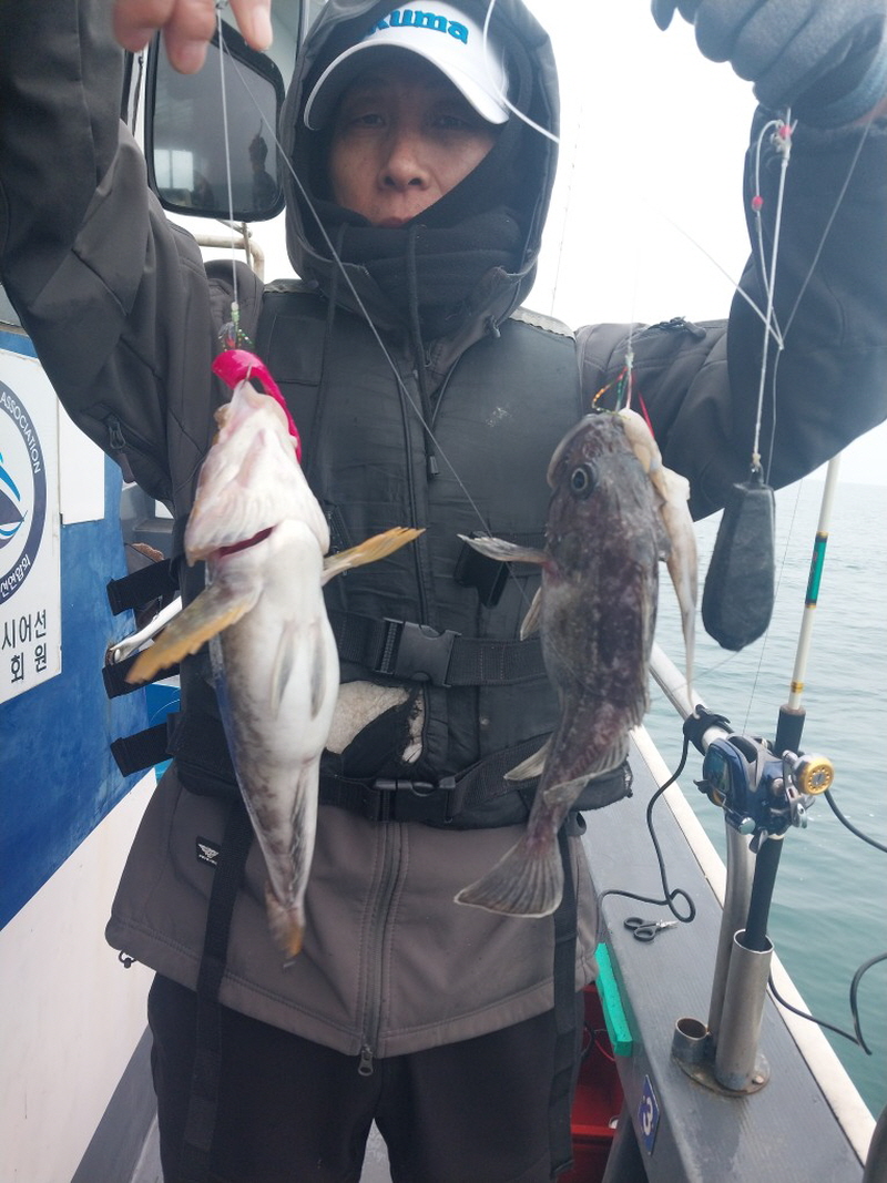 나르샤호 조황갤러리입니다.