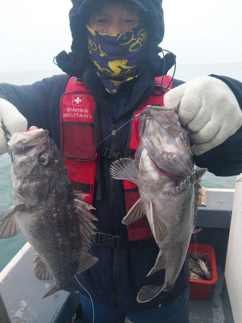 나르샤호 조황갤러리입니다.