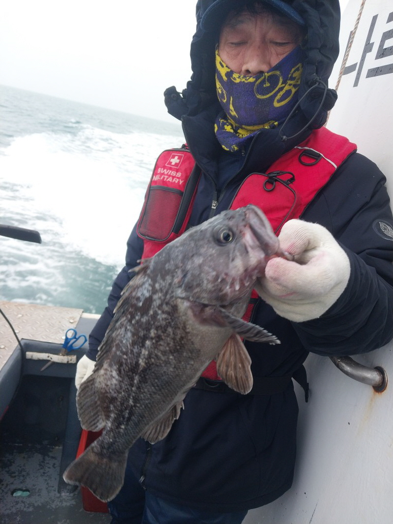 나르샤호 조황갤러리입니다.