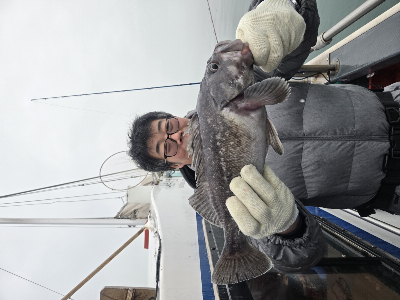 나르샤호 조황갤러리입니다.