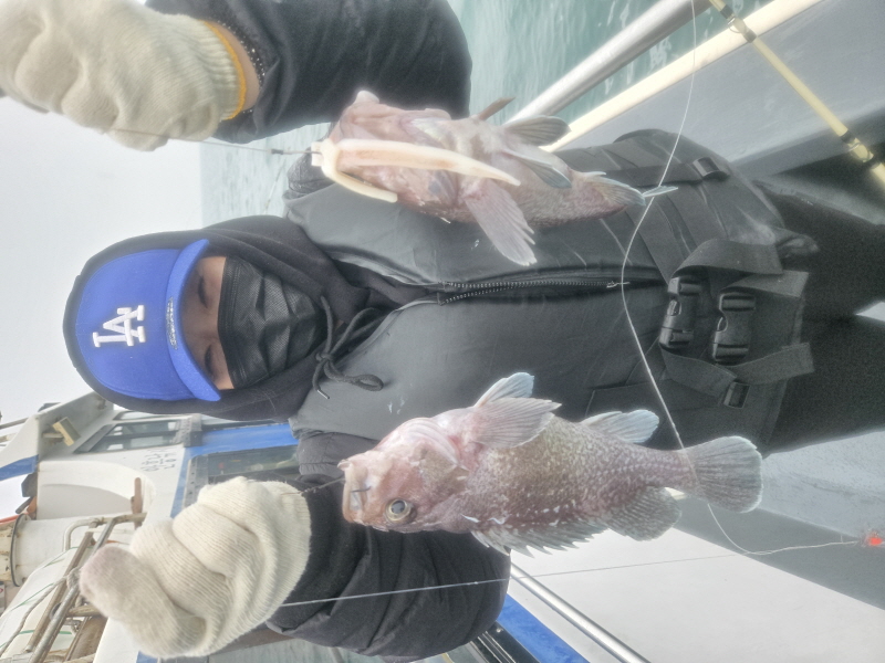 나르샤호 조황갤러리입니다.