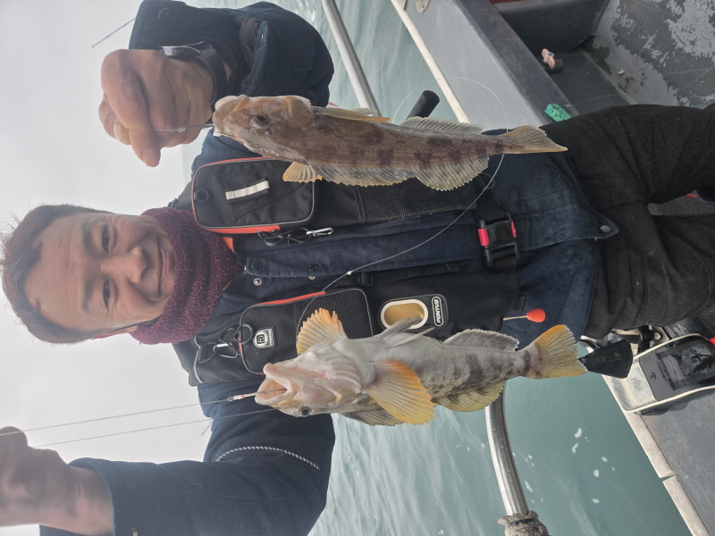 나르샤호 조황갤러리입니다.