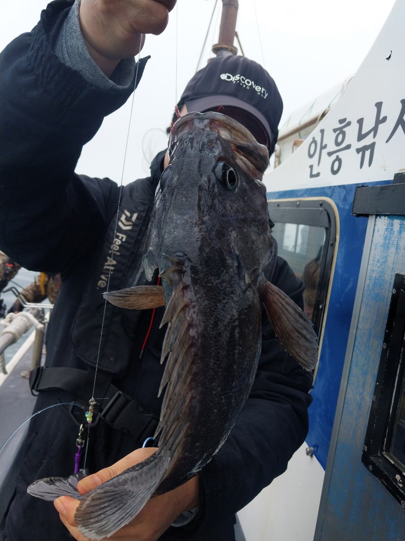 나르샤호 조황갤러리입니다.