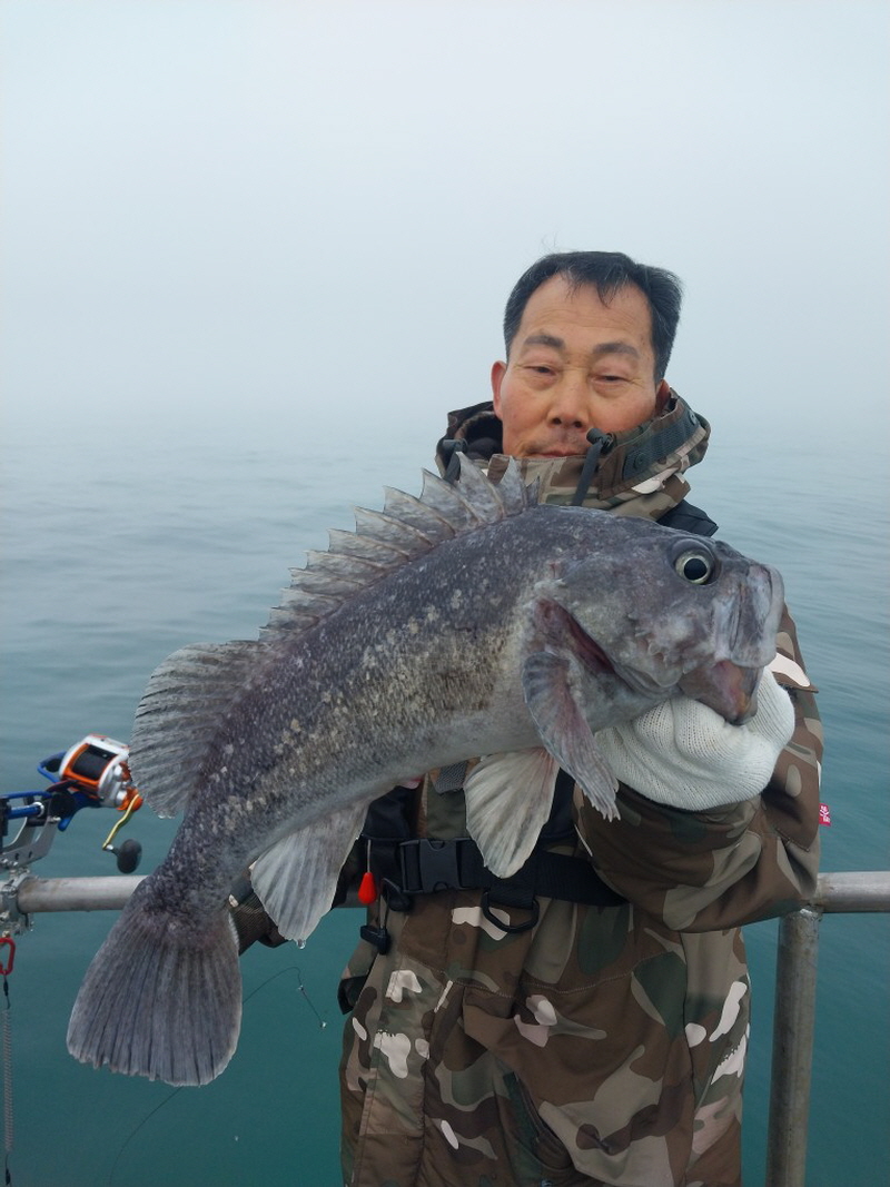 나르샤호 조황갤러리입니다.