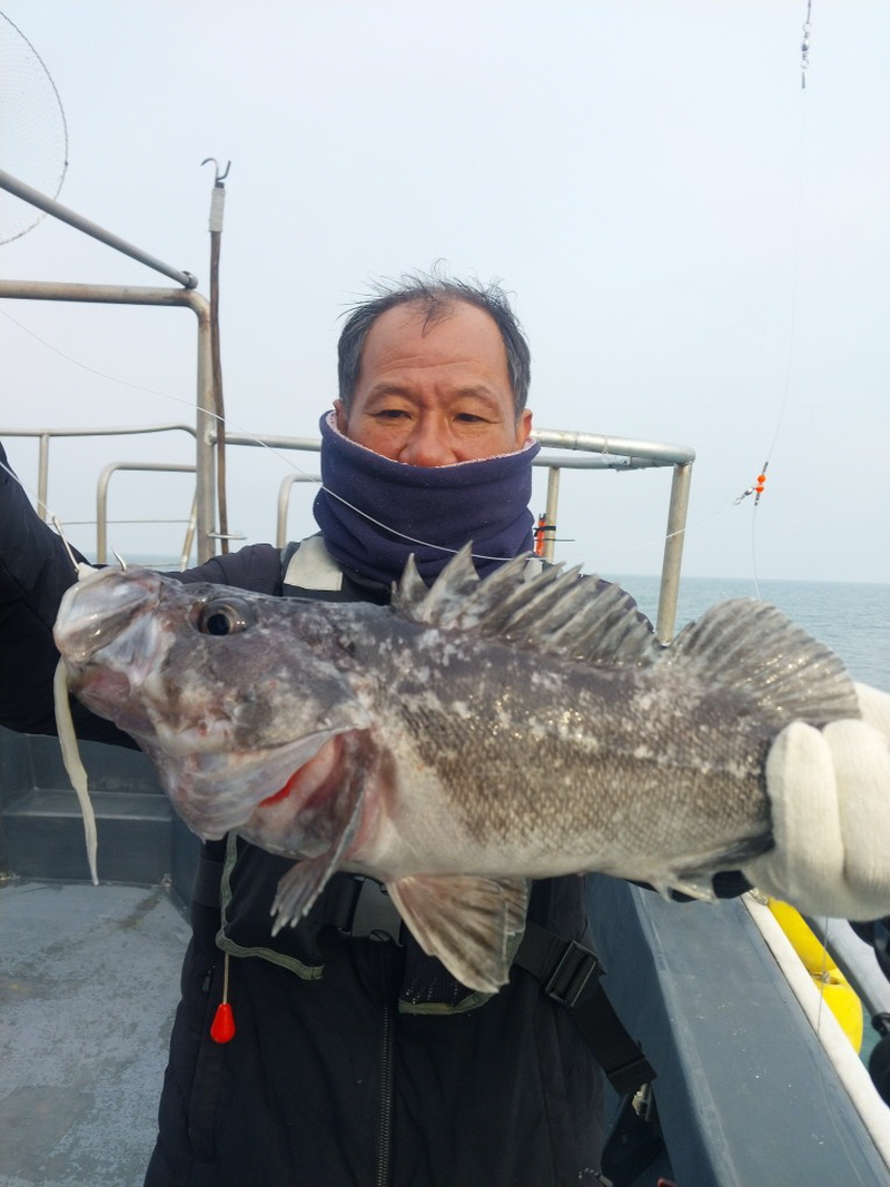나르샤호 조황갤러리입니다.