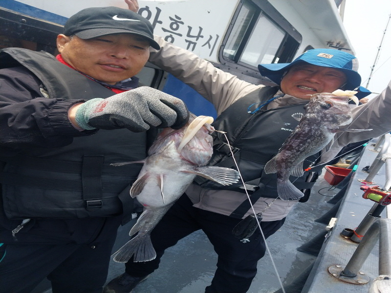 나르샤호 조황갤러리입니다.