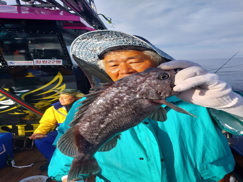 나르샤호 조황갤러리입니다.