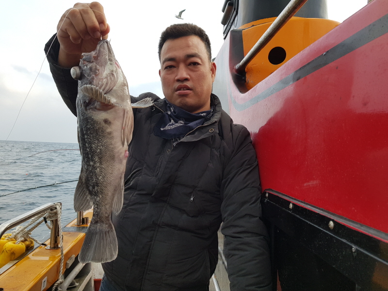 뉴신정호 조황갤러리입니다.