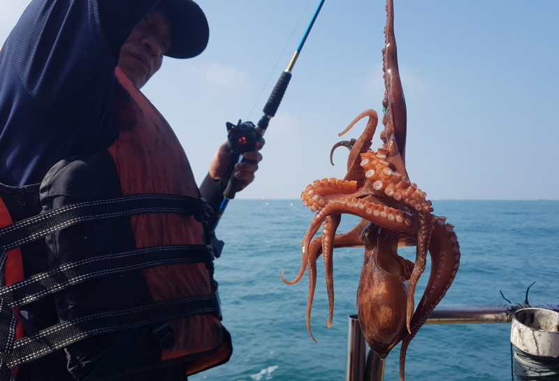 뉴신정호 조황갤러리입니다.