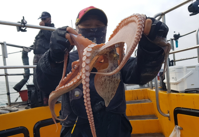 뉴신정호 조황갤러리입니다.