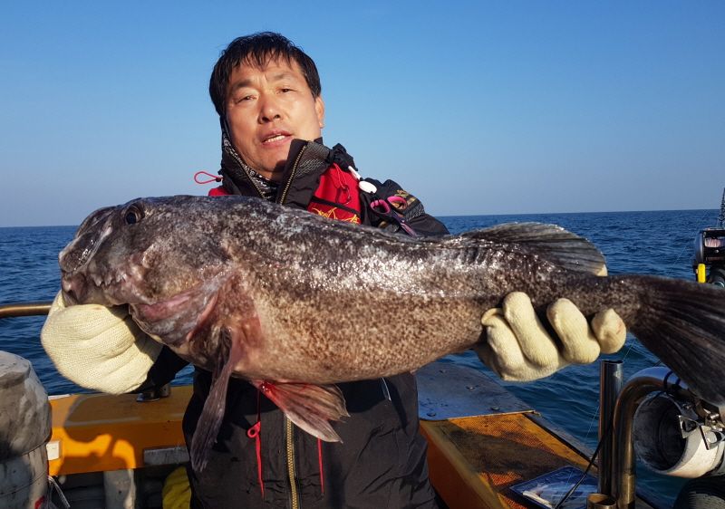 뉴신정호 조황갤러리입니다.