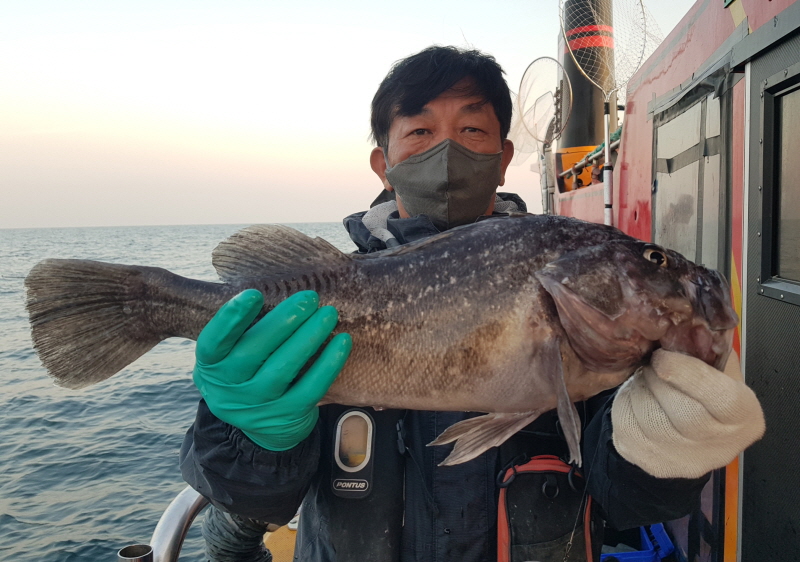 뉴신정호 조황갤러리입니다.